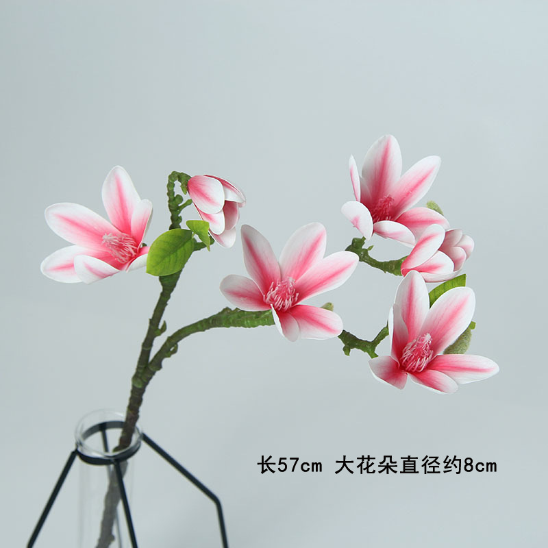 목련 장미 6송이