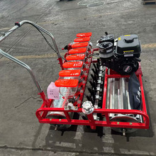 ���Ĳ����{�����N�C ��˲�������c���C ����΅��۹��S�˲��N�C