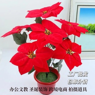 �������滨���S���l�tɫ��ɫ�yɫ��ɫ��ɫ�}�Q������ͻ���