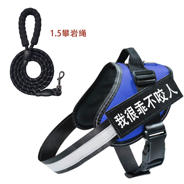 Harness + rope + blue