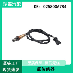 �m�ý��� ��������V5 �L������ ���vB50����������  0258006784A