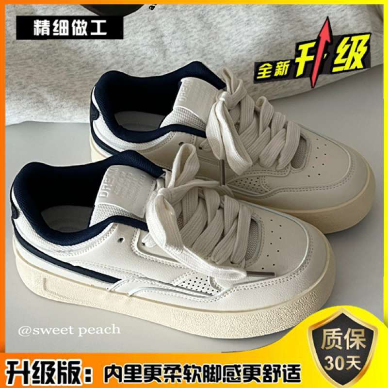 블루 업그레이드 버전