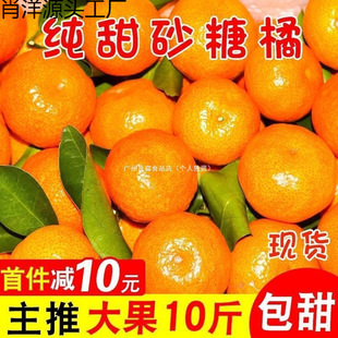 ɰ���ُV�����ﱡƤ�������rˮ���������l���]����վ���uͨ