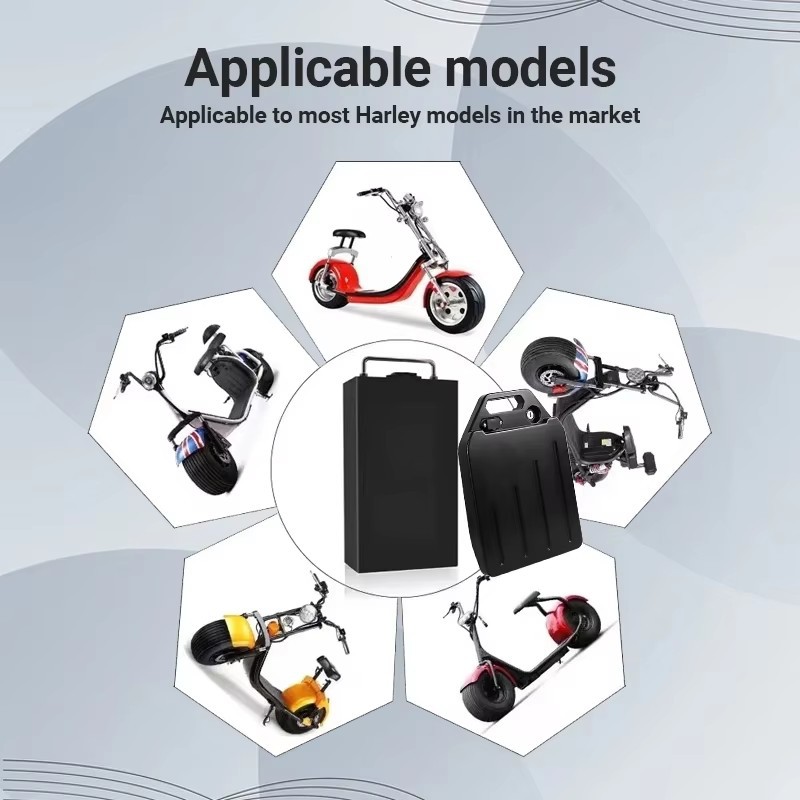 Original -60V-20ah-30ah-40ah-El