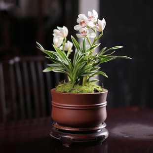 ���N��߅�m������ܽ�؝����ͽ��m�҃ȾGֲ����