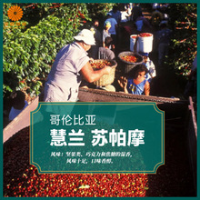 哥伦比亚进口慧兰苏帕摩水洗咖啡生豆2025新产季包邮