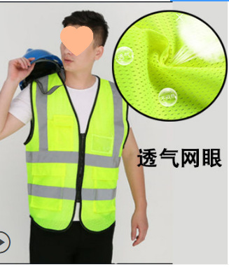 (추천 모델) 노란색 통기성 스왈로우테일