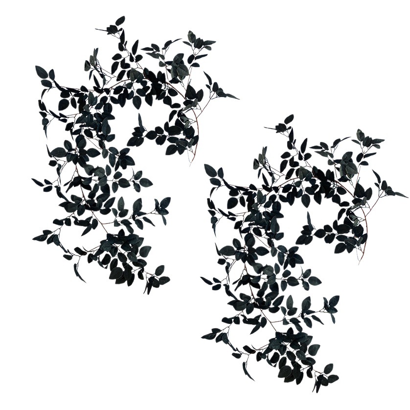 Artificial Rosa hoja ratán Amazon Halloween hogar negro decorativo atmósfera diseño artificial Rosa hoja Ratán