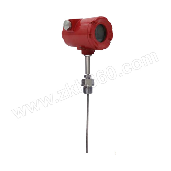 WINTERS 铠装热电阻 TER-D-DD-S-0-13-B-100-200-6-S-1-4G-1-xps0+TTIR 量程0~200℃ PT100 A级 4~20mA φ6mm 100mm延长颈 探杆材质316SS G1/4" 温度变送器 不带现场显示 探杆长200mm 1只