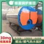 河南大卡工业燃煤锅炉