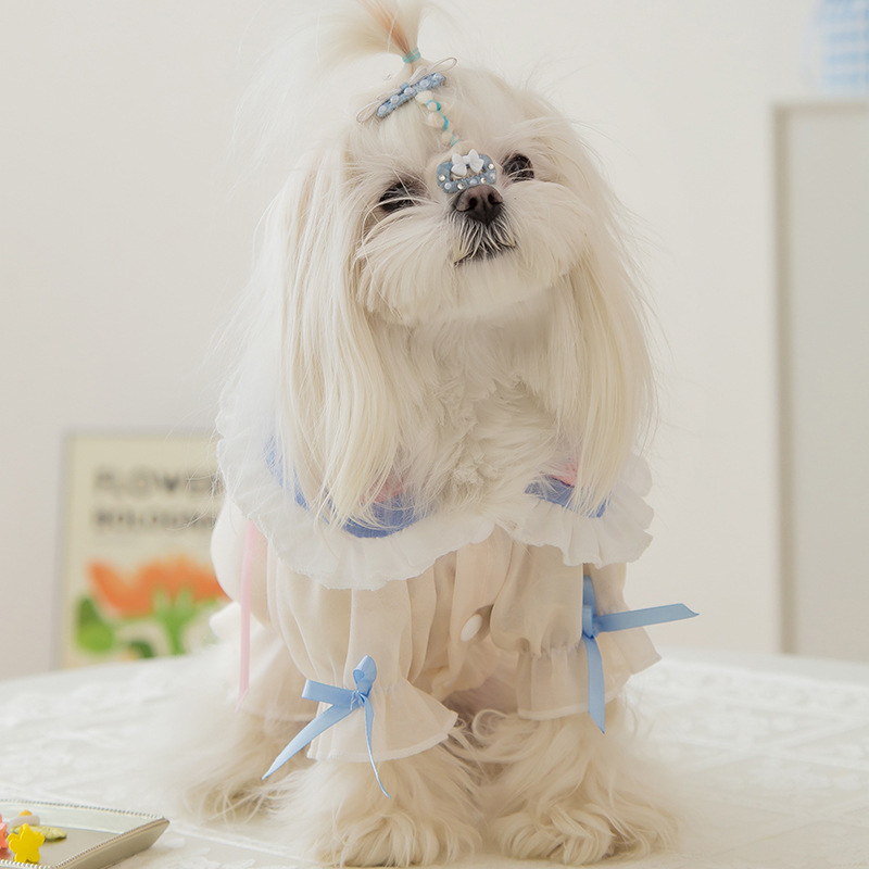 La primavera y el verano perro se convierte en hermosa chica estrella falda de encaje princesa estilo gato malla de dos patas ropa de perro mascota
