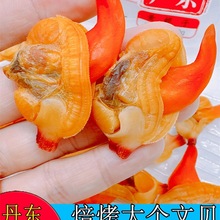 |۴S͘Ӹؐ100˵|خaʳr