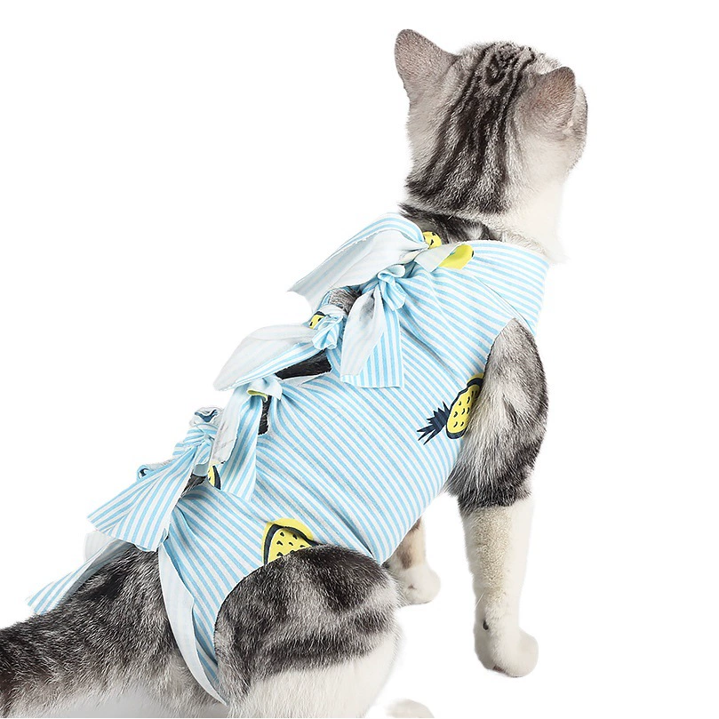 Хиты продаж весной и летом: одноразовая стерилизационная одежда для кошек (в виде бандажа), послеоперационная одежда для маленьких собак, хирургическая одежда.