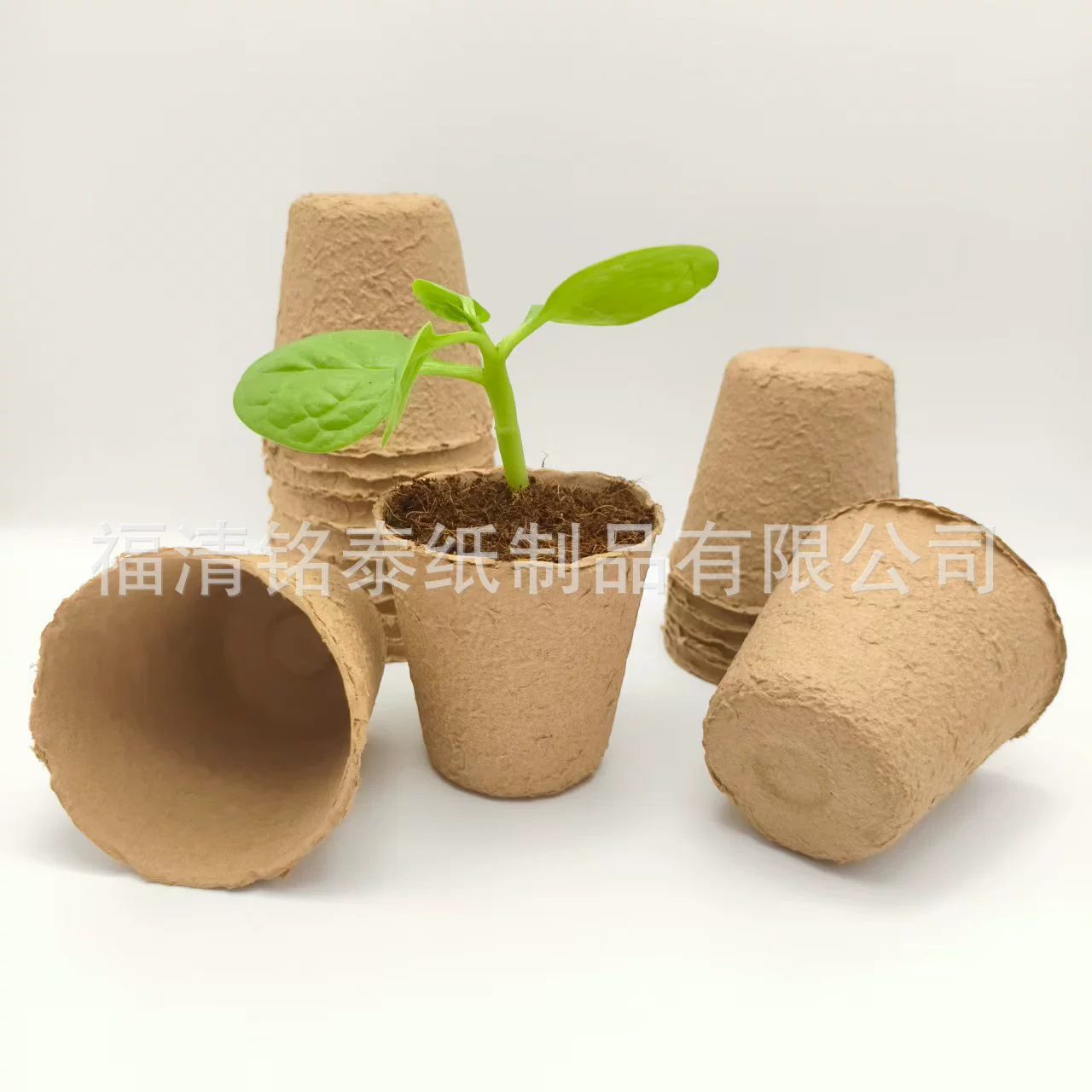 Бумажная целлюлоза, чашка для рассады, бумажная чашка для целлюлозы, 8 см, круглая одноразовая деградационная целлюлоза, чашка для рассады, горшок, питательная чашка для посадки