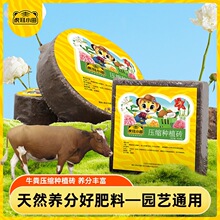 �l��ţ�S��Ҭ�u�������Է���ͨ�÷ʠI�B��Ҭ��˼�����ЙC����