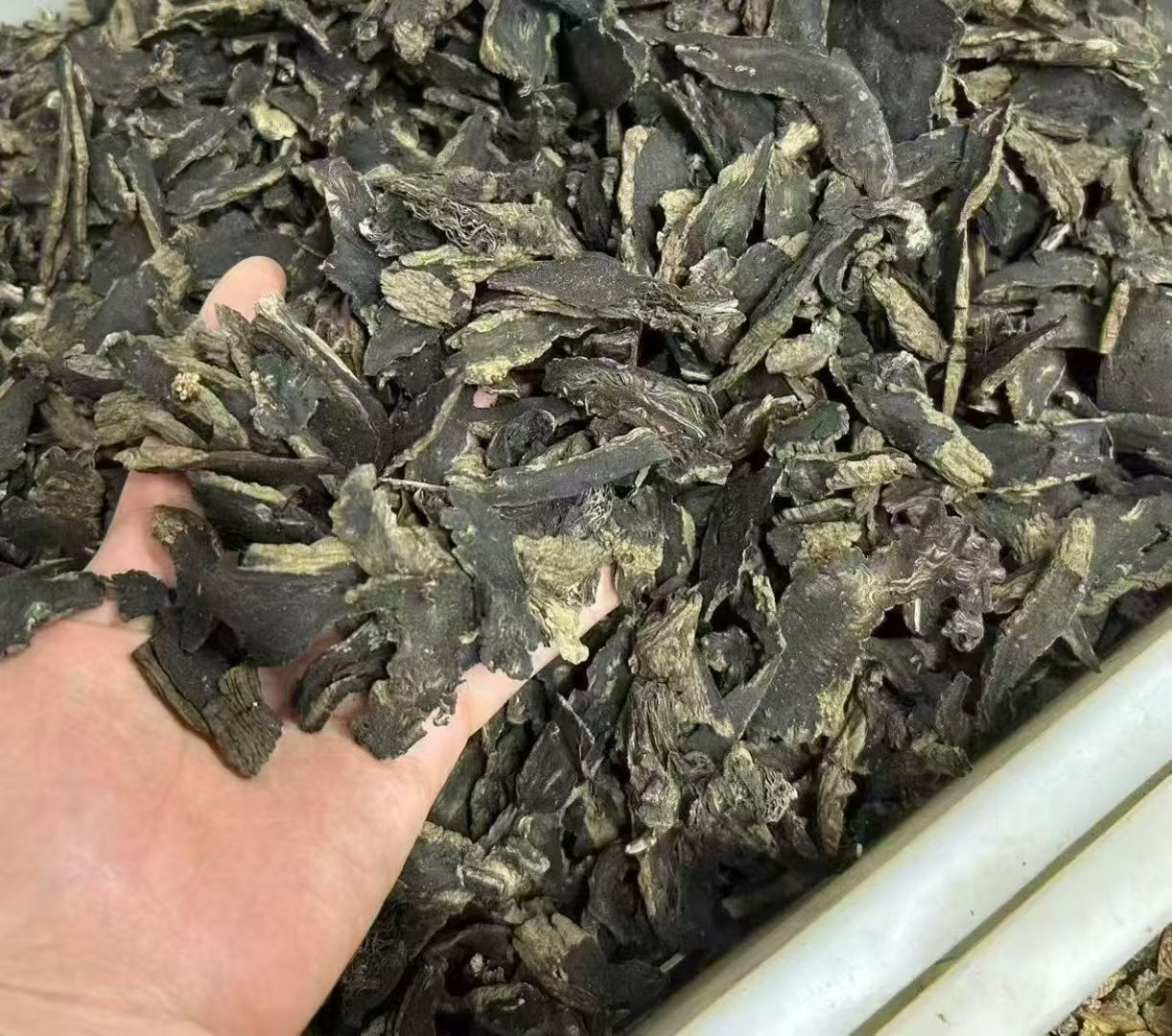 Dried Xuanshen Root Slices Hand Selected Chinese Herbal Decoction Pieces 100g Box specifications