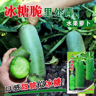 ���Ǵ����}���N��ˮ���＾�ļ�ɽ�|�r�Ұ��߲����ɳ�C�ѷN��