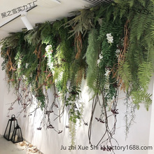 ����Gֲ�ڒ촹���ٗl�Gɫֲ�ﲨ˹ާ��ڹܵ�����T�^�b�����