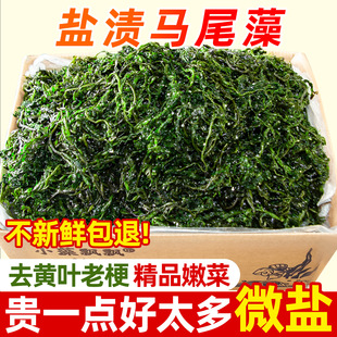 ���ڹS�L�۲˛�����}�n�Rβ�庣�S���ʳ�ĺ���˰��؛�򗫲�