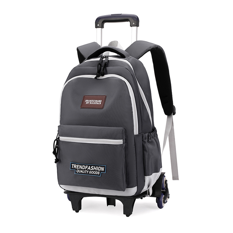 Nuevo pescado natural bolsas escolares ligeras, bolsas escolares de gran capacidad para niños de escuela primaria, bolsas escolares de 3 - 6 grados