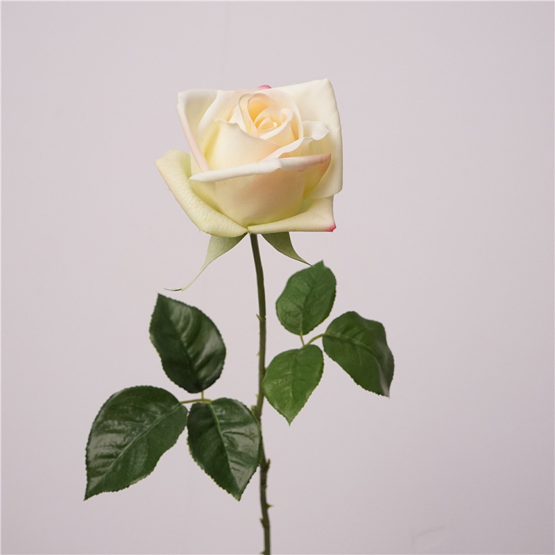 트윈 로즈-화이트 그린 느낌