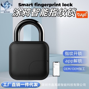 Graffiti Fingerprint Padlock Large Remote Authorization Unlocking Cabinet Lock Bluetooth Lock Warehouse Anti-Theft Door Lock Electronic Padlock