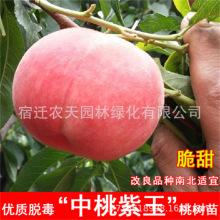 ����������Ҙ�����Ҙ�޽��������S���Ә��m�������Թ��������