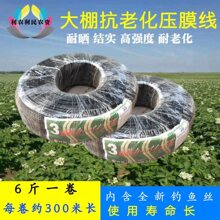 ���Ҵ��Ĥ�K���L�K��������ɫ��Ĥ���z����Ĥ�����K��Ĥ