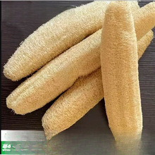 *zϽjϴĨˮˢȥ۲մͰٝϴɽzȿ