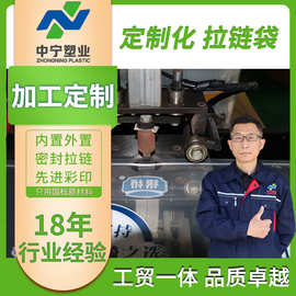 PE拉链袋服装内衣食品定制包装袋 塑料自封袋