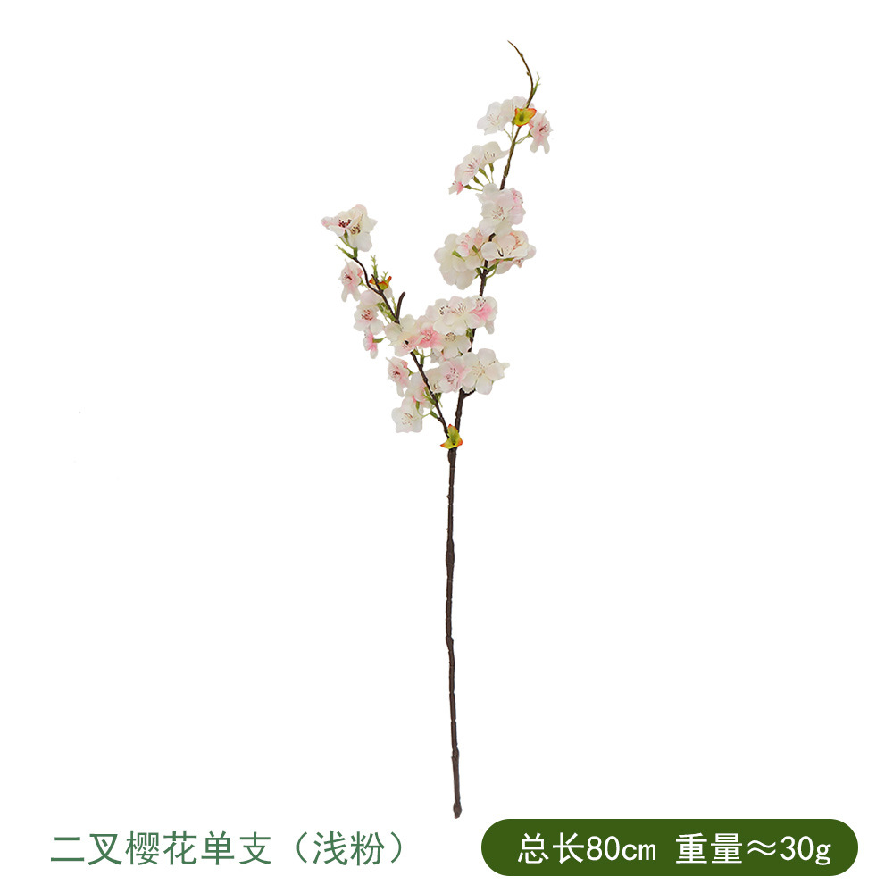 두 갈래 벚꽃 싱글 라이트 파우더