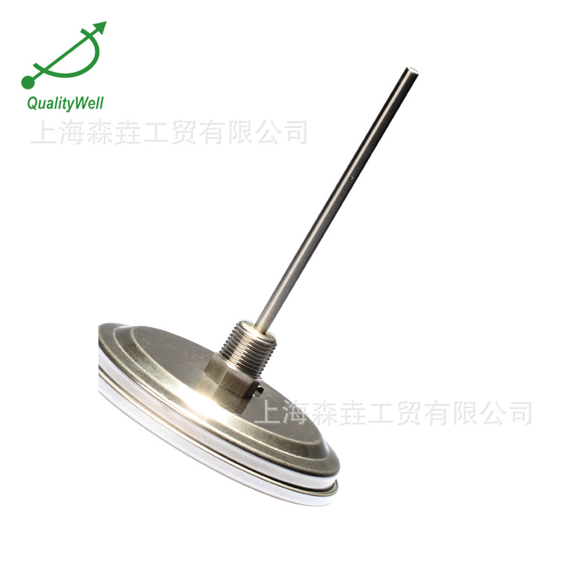 ҹ�����˫�����¶ȼ� ҹ����� Glow in the dark GDT500C