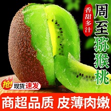 陕西周至猕猴桃绿心奇异果大果应当季新鲜即食徐香猕猴桃现摘整箱