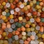 新疆小南瓜南瓜金丝玉