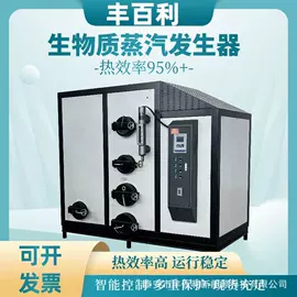 蒸汽发生器;燃煤锅炉;燃气锅炉