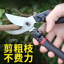 ޼֦֦ʡSK5䓈@ֈ@ˇ乤߼