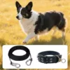 26-50 pounds: black 4 mm + double row collar