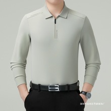 诚招代理中年男士POLO衫长袖2025春秋新款纯色休闲百搭免烫t恤男