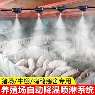 �Bֳ�����؇��Fϵ�y�ԄӶ��r�F�����F΢���^�u���i��ţ����������