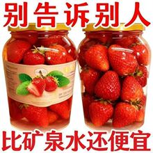 ���l�r����ݮ���^ˮ������������������l���r������ݮˮ�����^