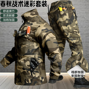 �¿����ĥ���������b�д����Բʷ����b�������e�Ӻ��͠C�L��