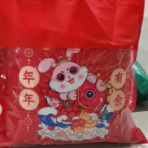 Universal Pillow Gift Bag with Plain Color Non-woven Visible Packaging Pillowcases Pillow Blanket Usable Bag Gift Bag