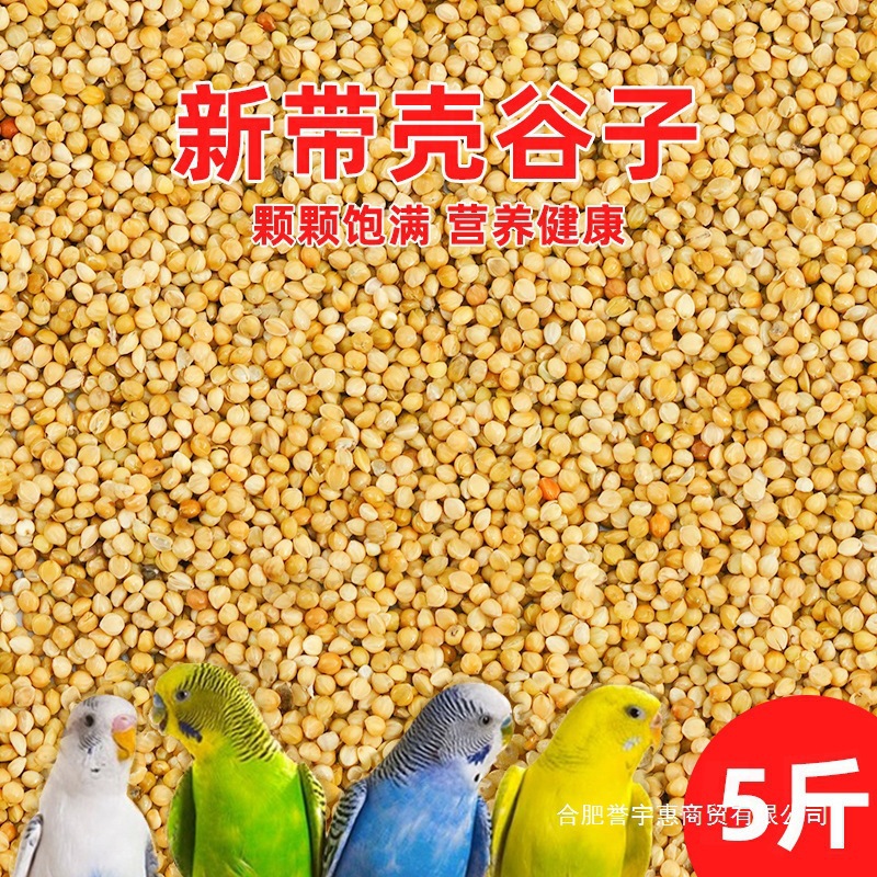鹦鹉鸟料饲料鸟粮新黄谷子带壳小米虎皮饲料玄凤牡丹专用批发代发