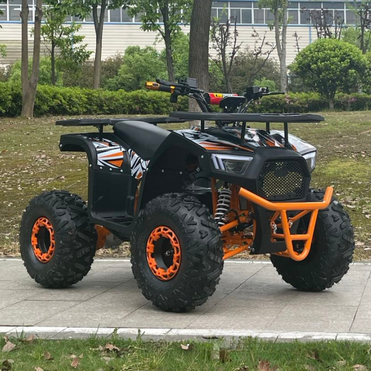 Factory Direct Sales 60V1000W Beach Car Electric Atv Electric All-Terrain Vehicle Electric Utv Electric Go-Kart