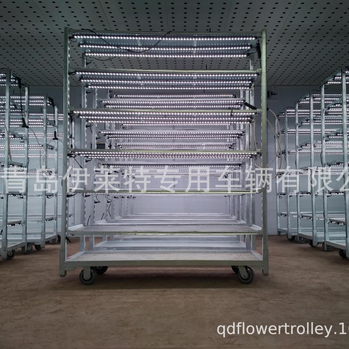 厂家直销农业温室大棚补光育苗车， 蔬菜种植多层育苗架， 补光车