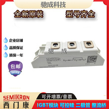 TO SKDH115/16 SKKD100/18 SKKD26/16Srgӭ