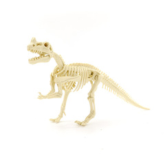 スケルトン恐竜ノジロサウルスおもちゃ組み立てスケルトンモデル子供組み立て知能開発 DIY 教材セット