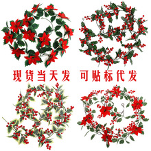 ����ʥ������ŷ���ڹҼ�ͥװ�κ콬������ʥ�������ղ���װ��Ʒ