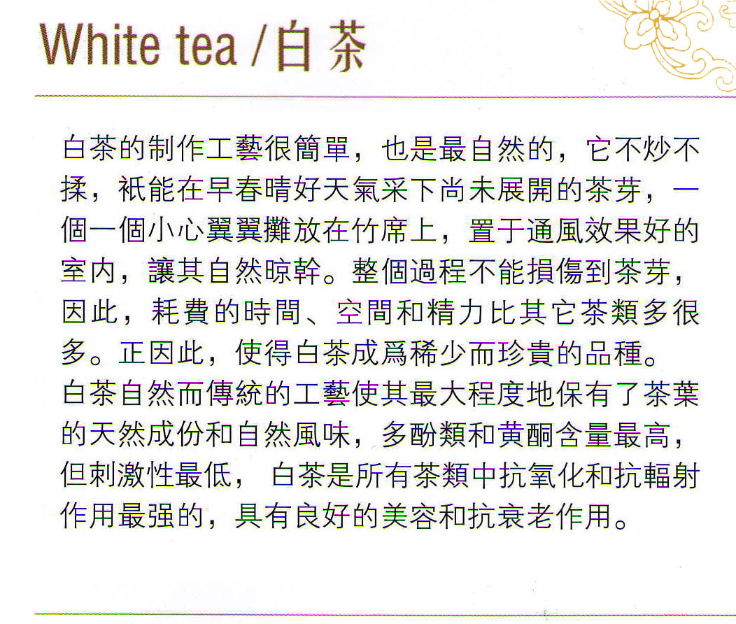 白茶简介.jpg