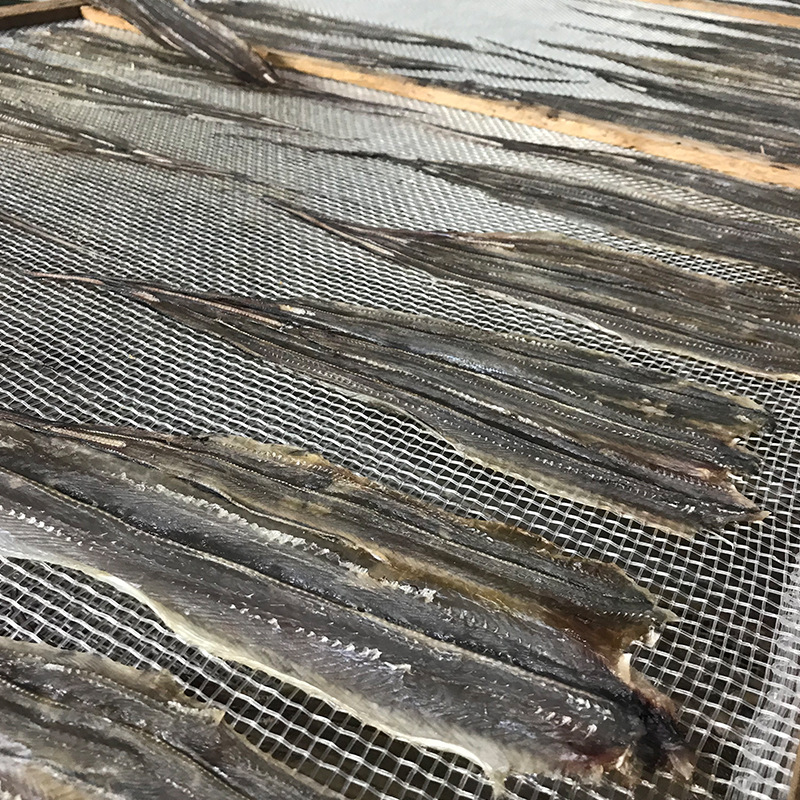 1_0009_3fbc6e03bbd2604a8119549